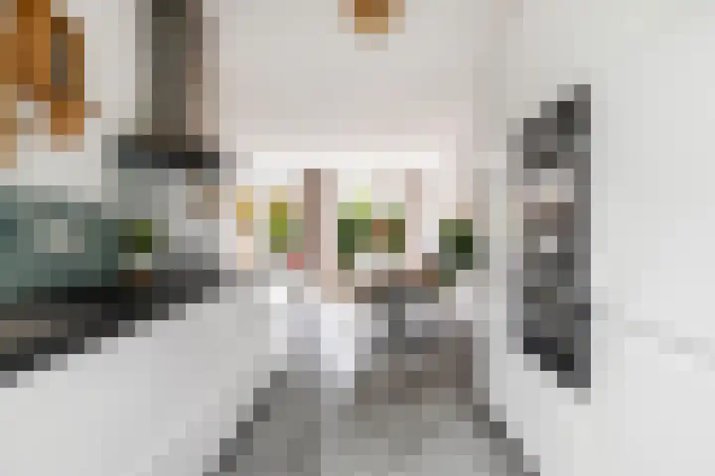 Zeister Eng 40 Zeist thumbnail 22