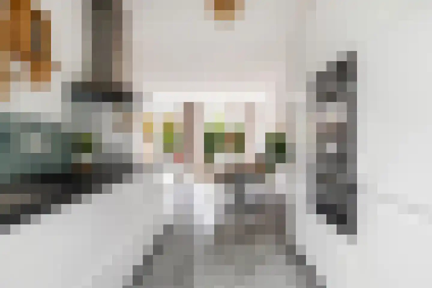 Zeister Eng 40 Zeist thumbnail 4