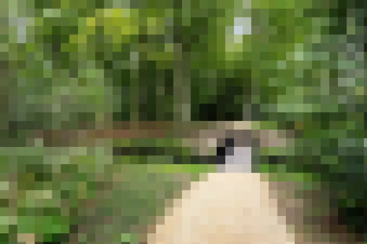 Zeister Eng 40 Zeist thumbnail 47