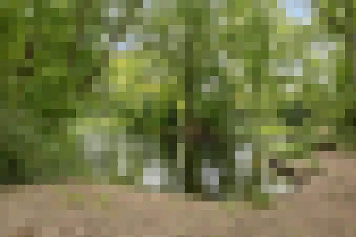 Zeister Eng 40 Zeist thumbnail 48