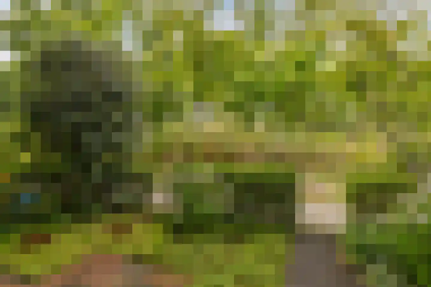 Zeister Eng 40 Zeist thumbnail 8