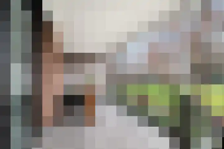 Zeister Haven 76 Zeist foto 3