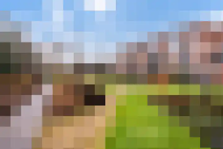 Zeister Haven 76 Zeist thumbnail 32