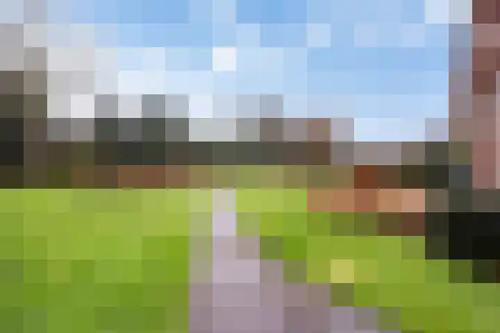Zeister Haven 76 Zeist thumbnail 33