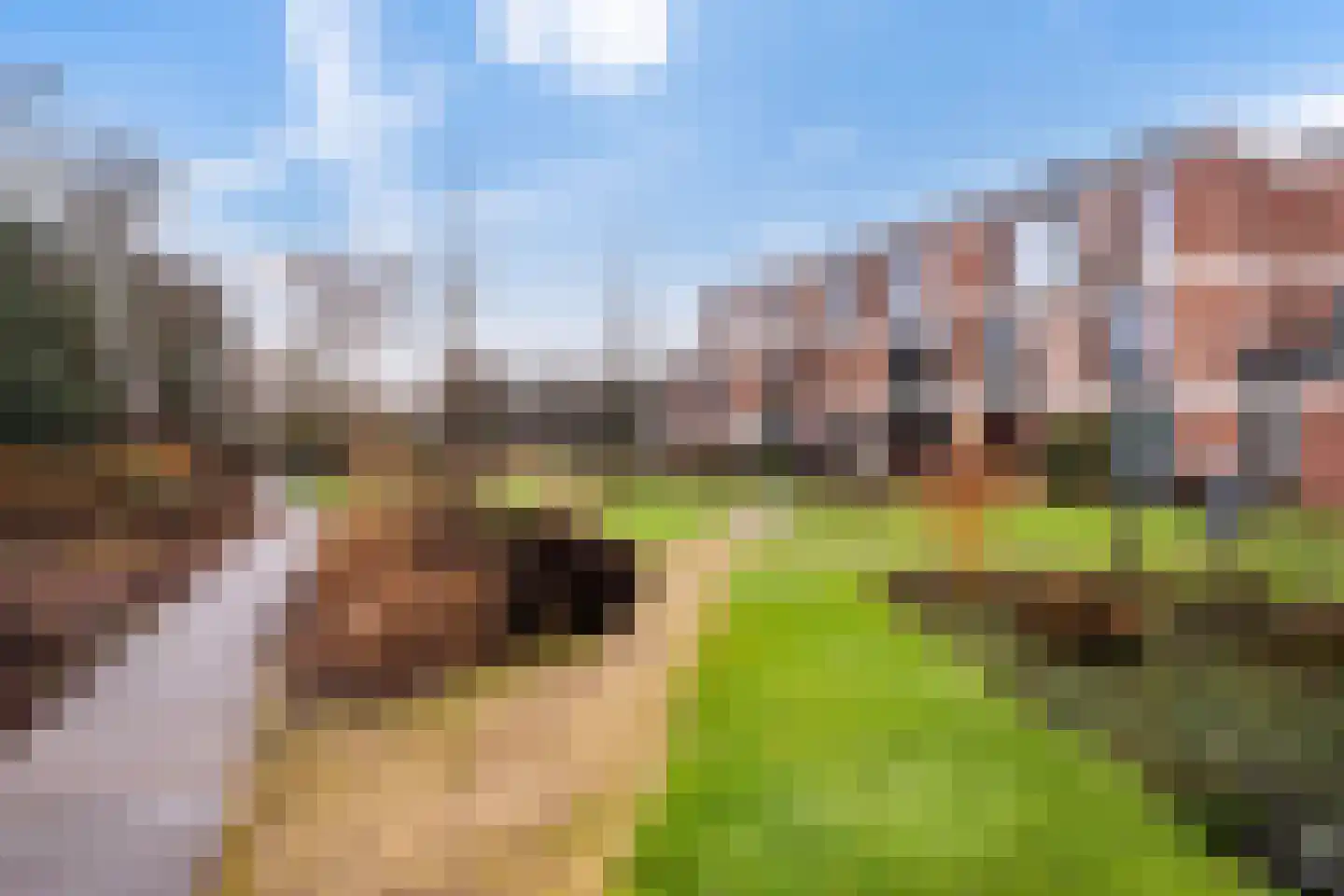 Zeister Haven 76 Zeist thumbnail 33
