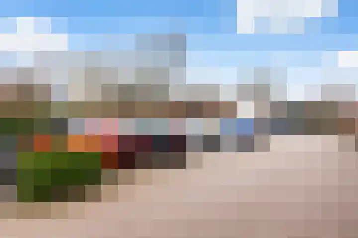 Zeister Haven 76 Zeist thumbnail 40