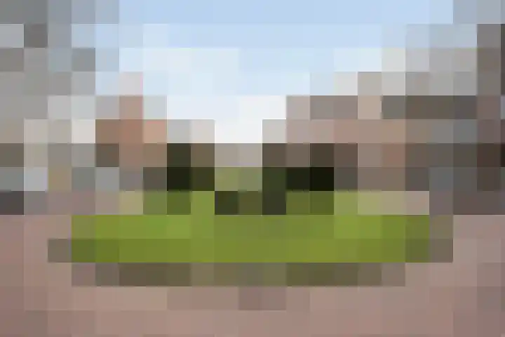 Zeister Haven 76 Zeist thumbnail 42