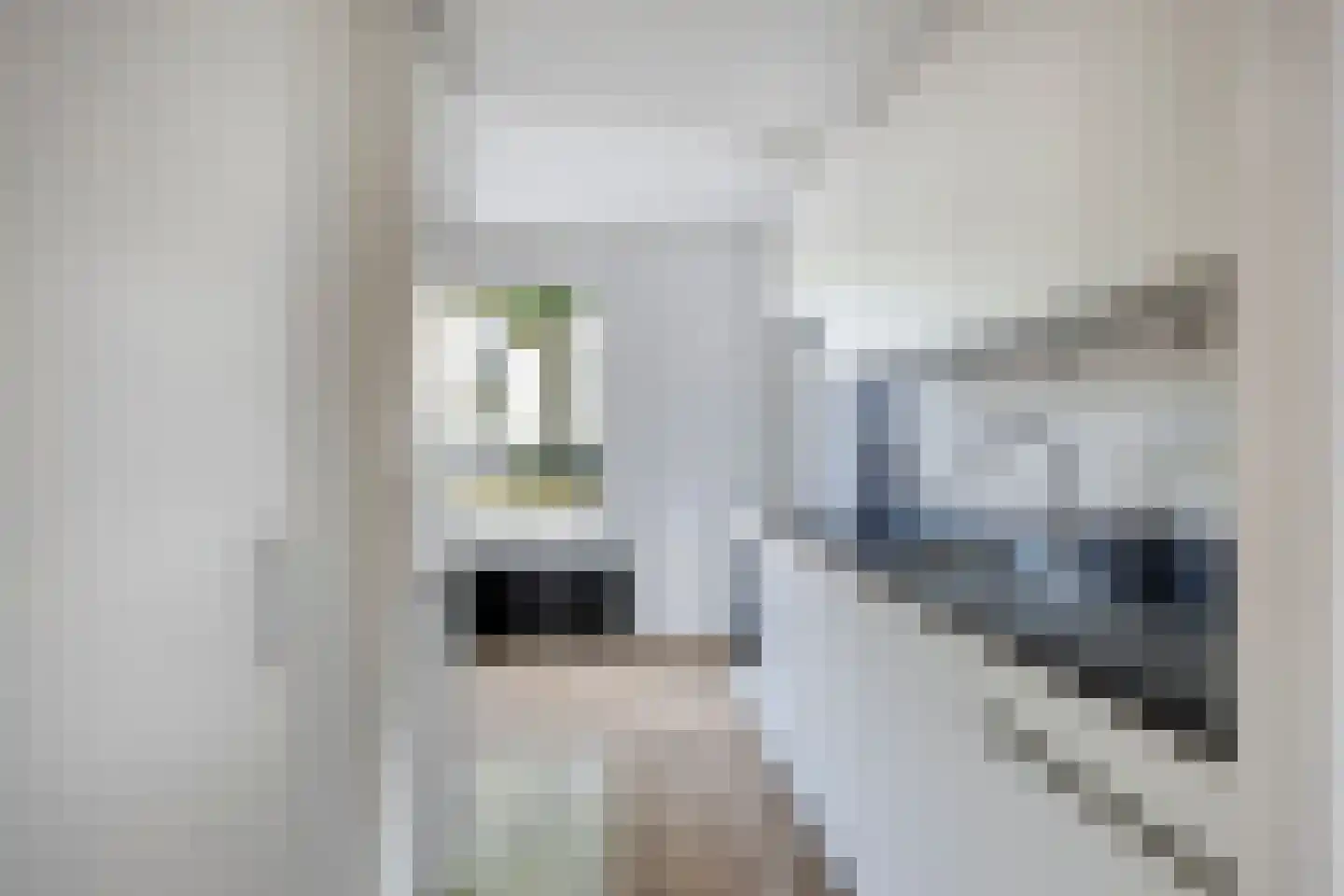 Zeisteroever 62 Zeist thumbnail 11