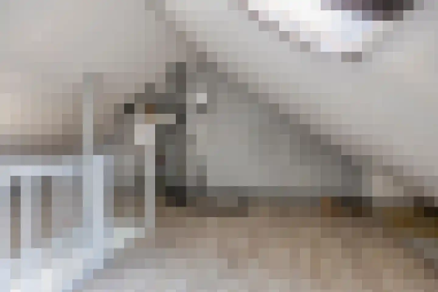 Zeisteroever 62 Zeist thumbnail 26