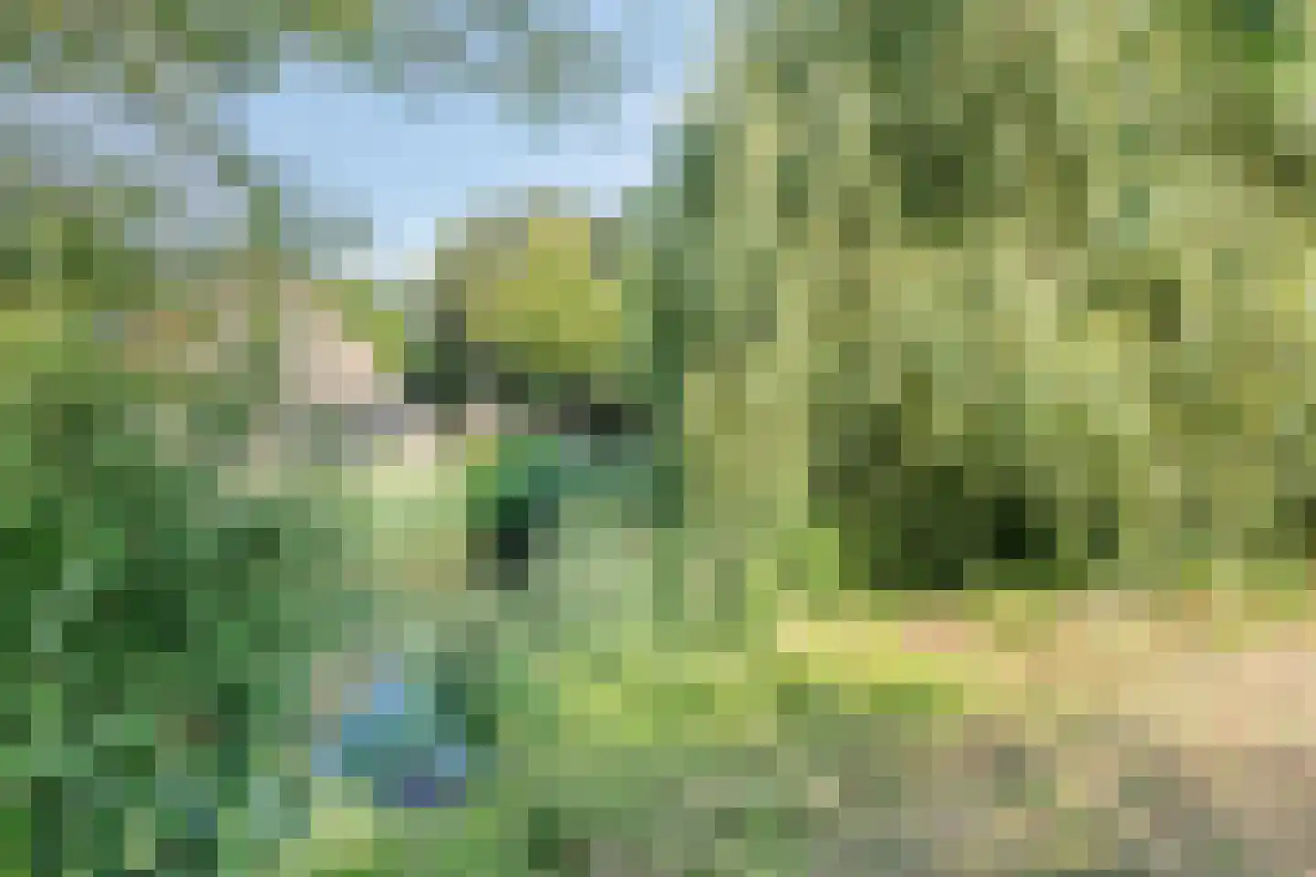 Zeisteroever 62 Zeist thumbnail 31