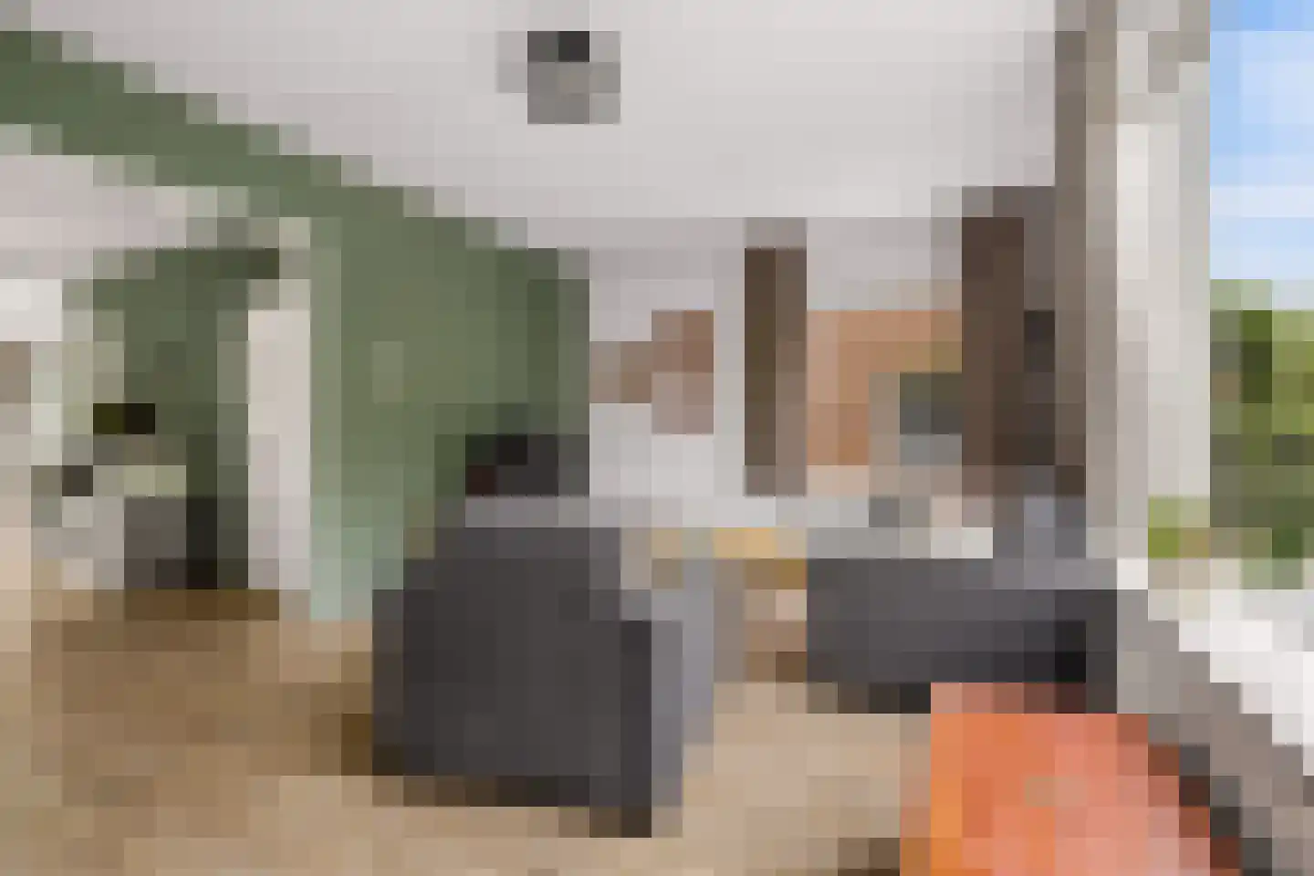 Zeisterweg 20 Odijk thumbnail 14