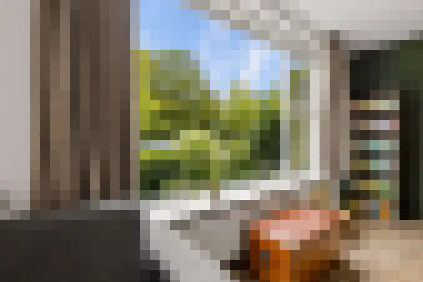 Zeisterweg 20 Odijk thumbnail 16