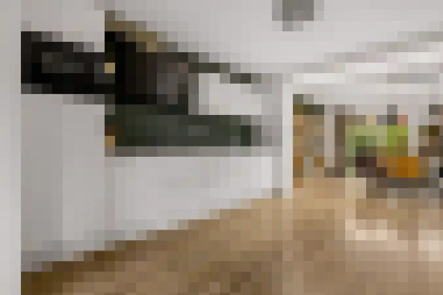 Zeisterweg 20 Odijk thumbnail 17