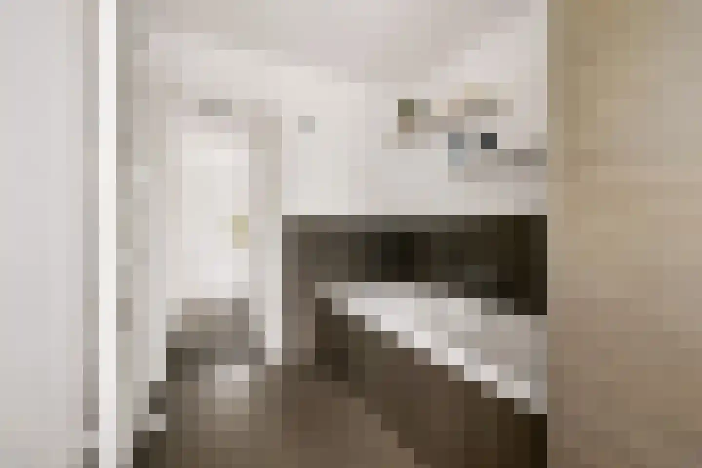 Zeisterweg 20 Odijk thumbnail 33
