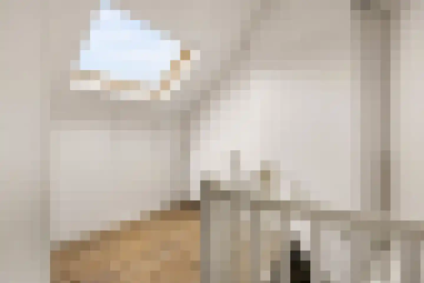 Zeisterweg 20 Odijk thumbnail 37