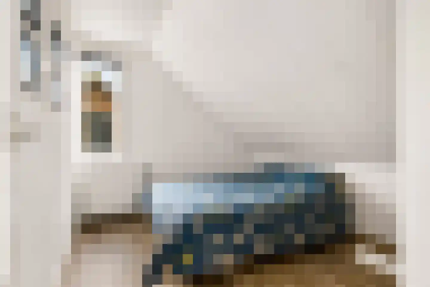 Zeisterweg 20 Odijk thumbnail 38