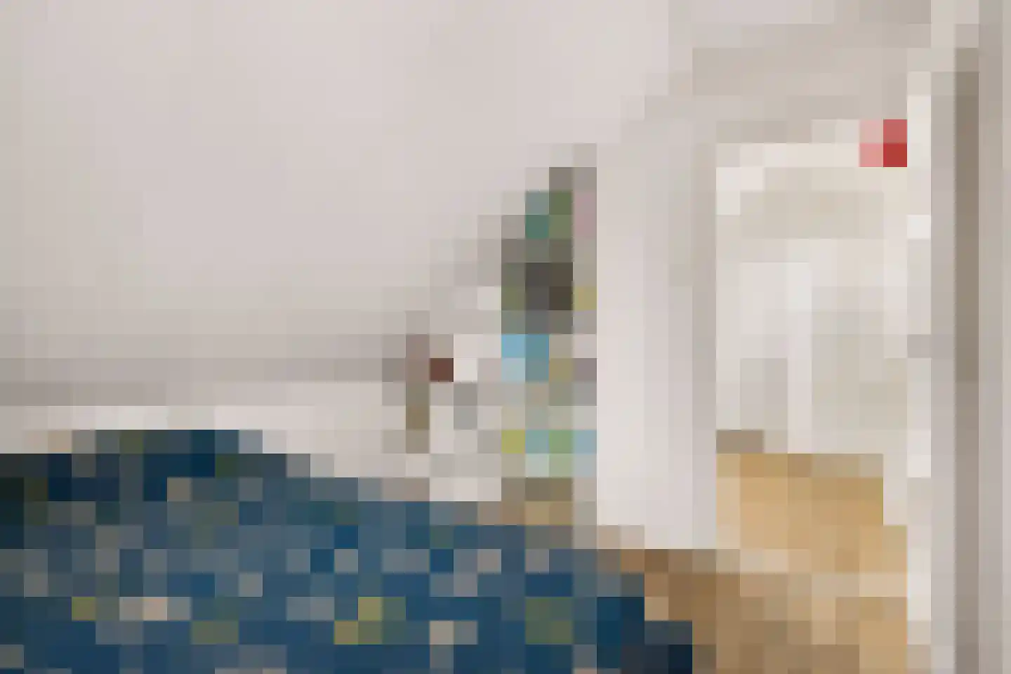 Zeisterweg 20 Odijk thumbnail 44