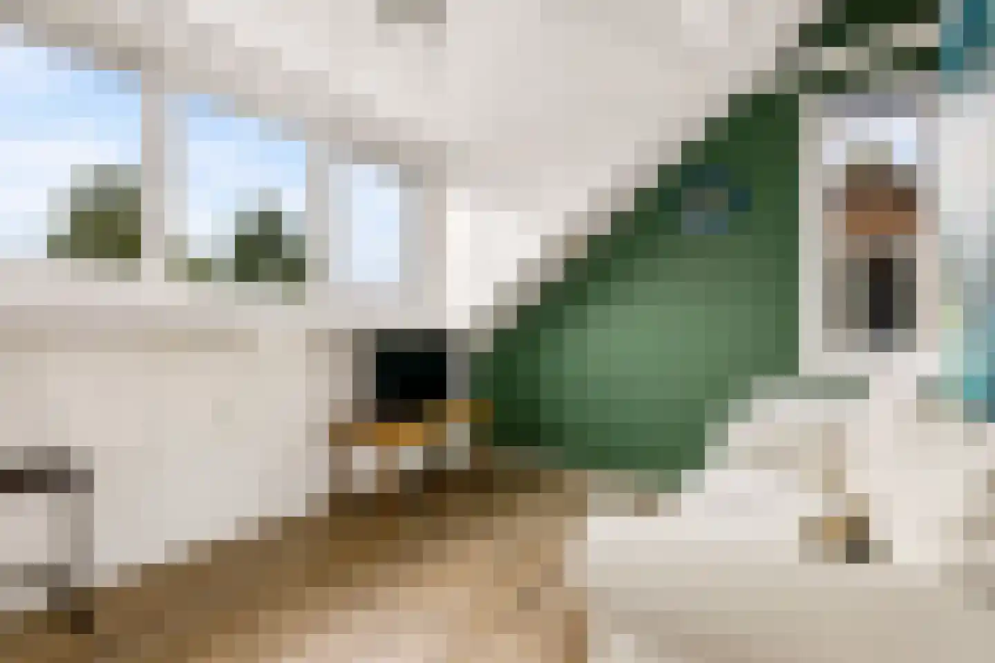 Zeisterweg 20 Odijk thumbnail 45