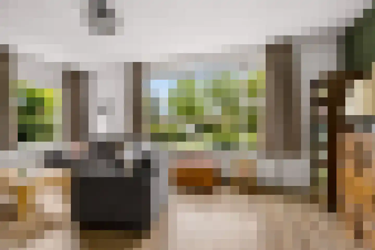 Zeisterweg 20 Odijk thumbnail 5