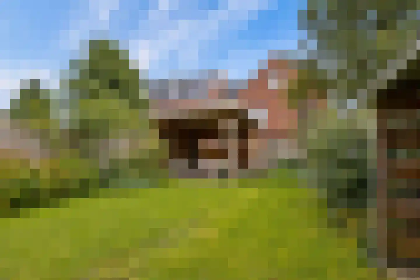 Zeisterweg 20 Odijk thumbnail 50