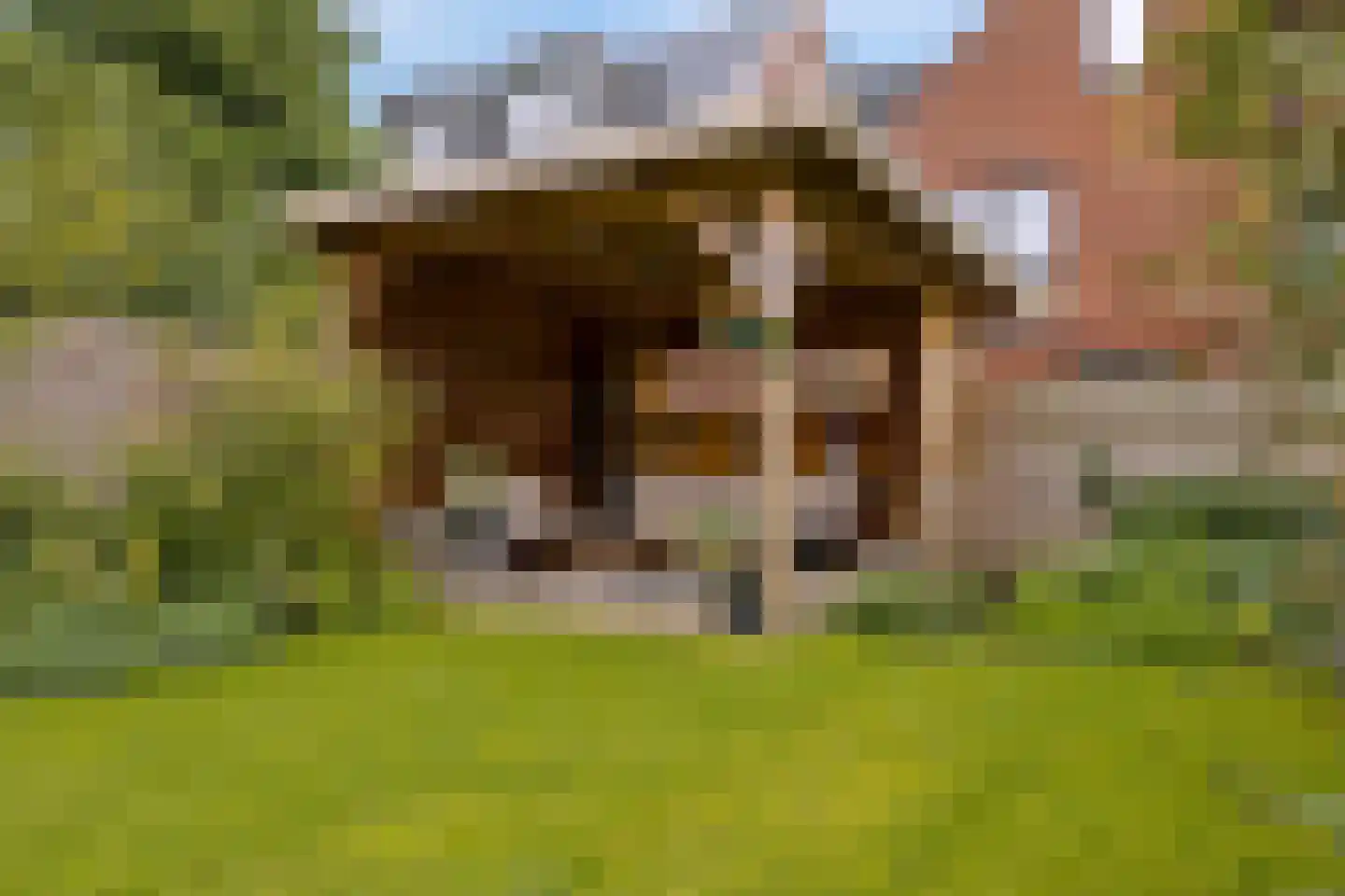 Zeisterweg 20 Odijk thumbnail 52