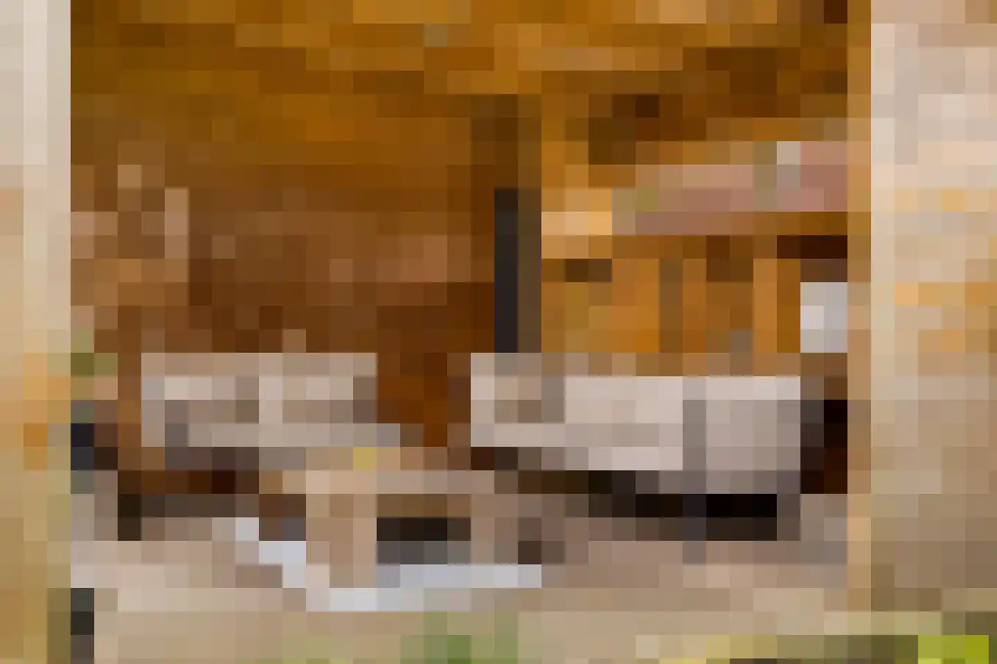 Zeisterweg 20 Odijk thumbnail 53