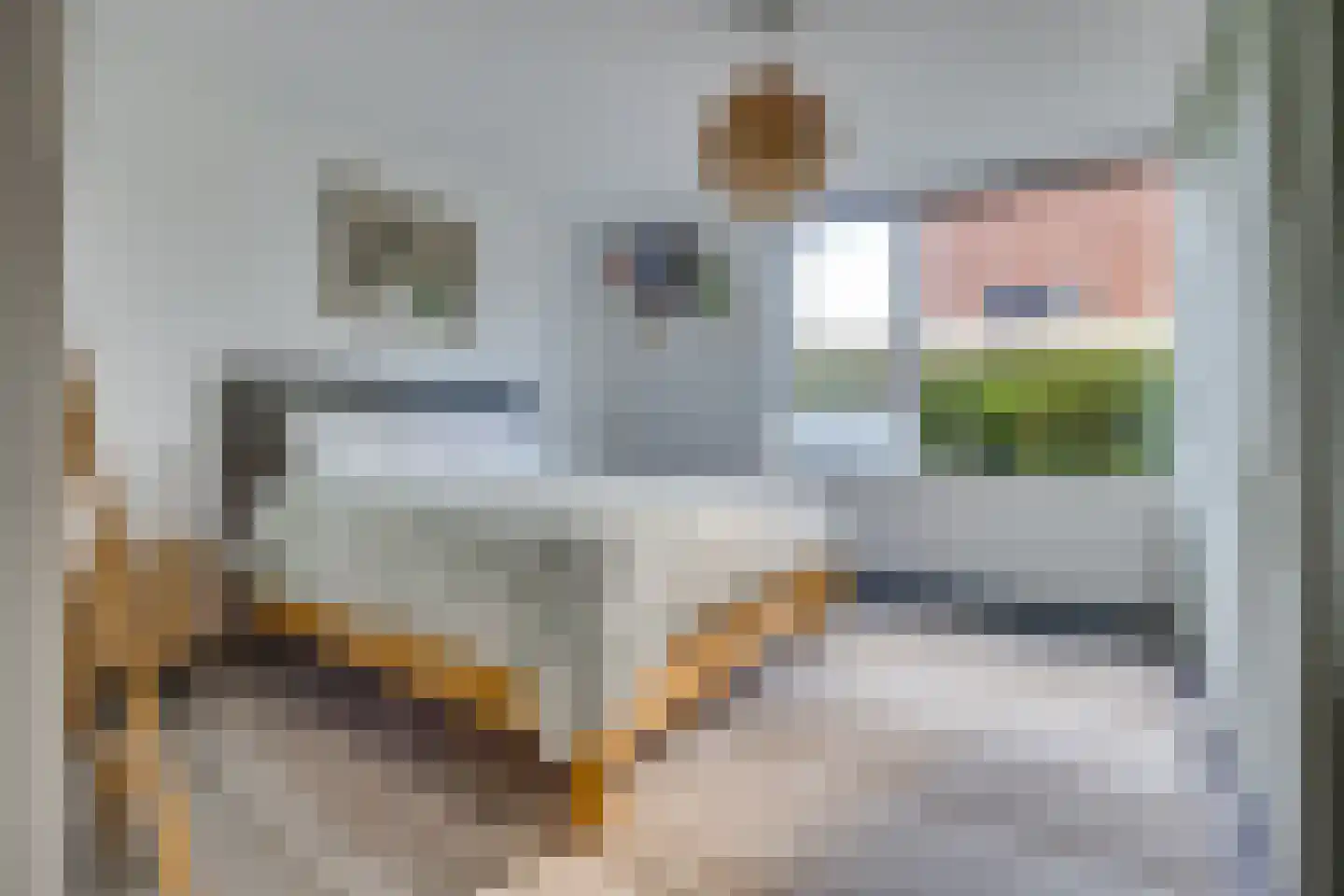 Zeisterweg 23 1 Odijk thumbnail 17