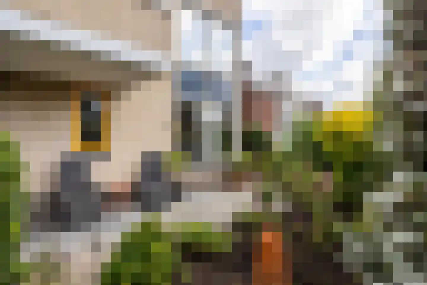 Zeisterweg 23 1 Odijk thumbnail 27