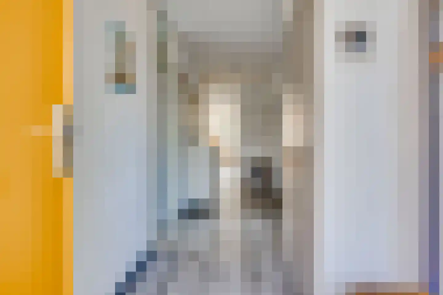 Zeisterweg 23 1 Odijk thumbnail 7