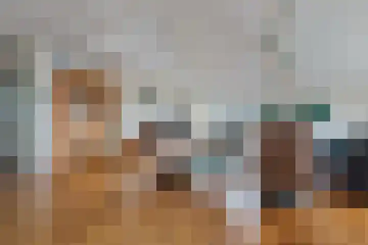 Zeisterweg 23 20 Odijk thumbnail 13