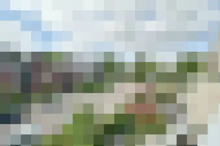 Zeisterweg 23 20 Odijk thumbnail 22