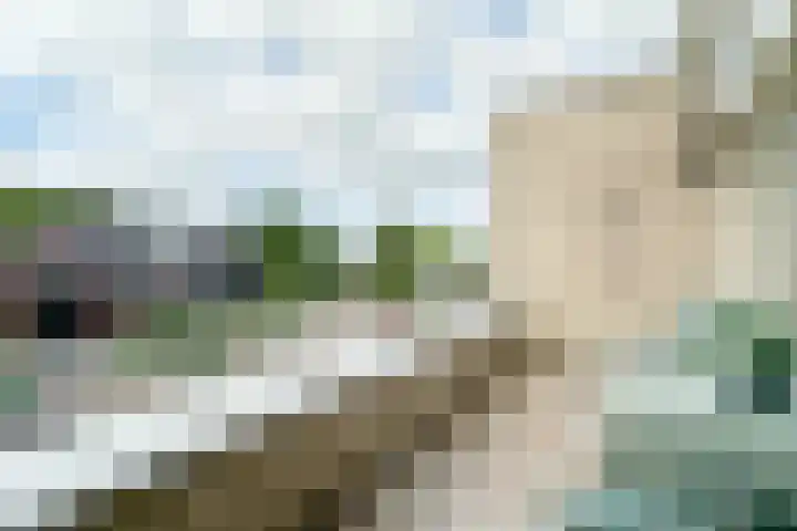 Zeisterweg 23 20 Odijk thumbnail 24