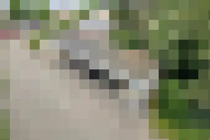 Zeisterweg 23 20 Odijk thumbnail 25