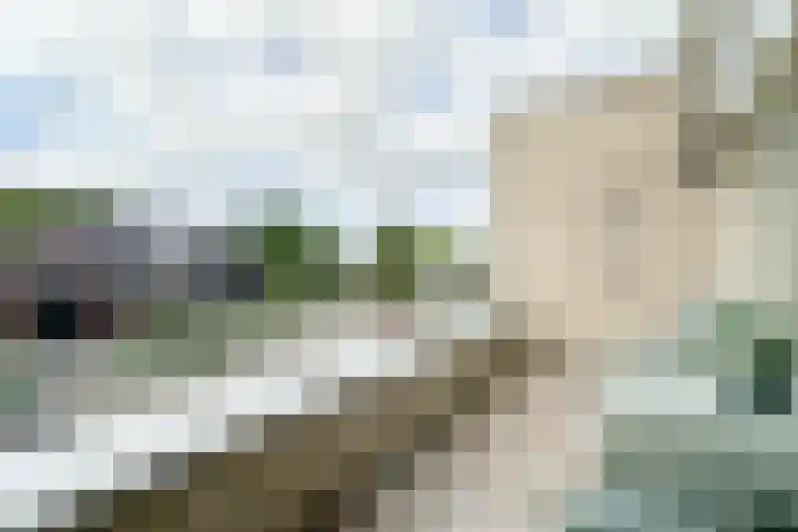 Zeisterweg 23 20 Odijk thumbnail 28