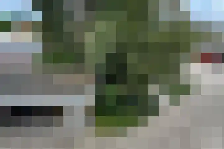 Zeisterweg 23 20 Odijk thumbnail 29