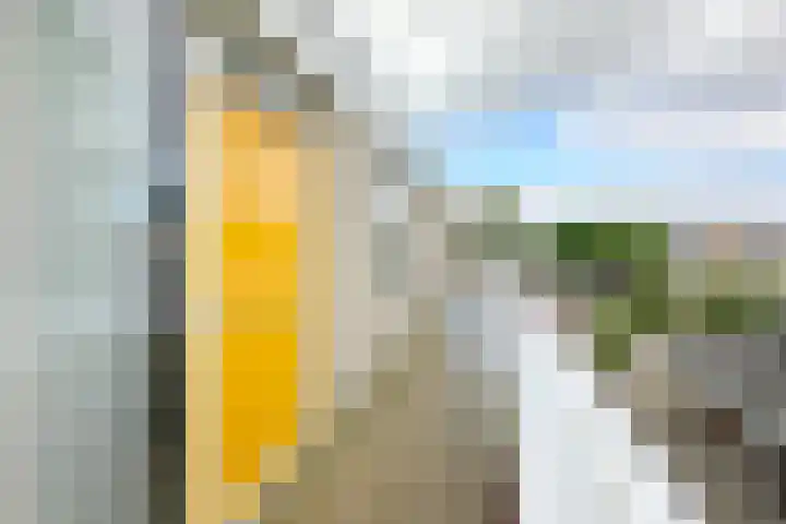 Zeisterweg 23 20 Odijk thumbnail 35