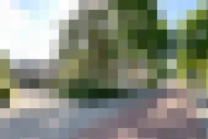 Zeisterweg 23 20 Odijk thumbnail 36