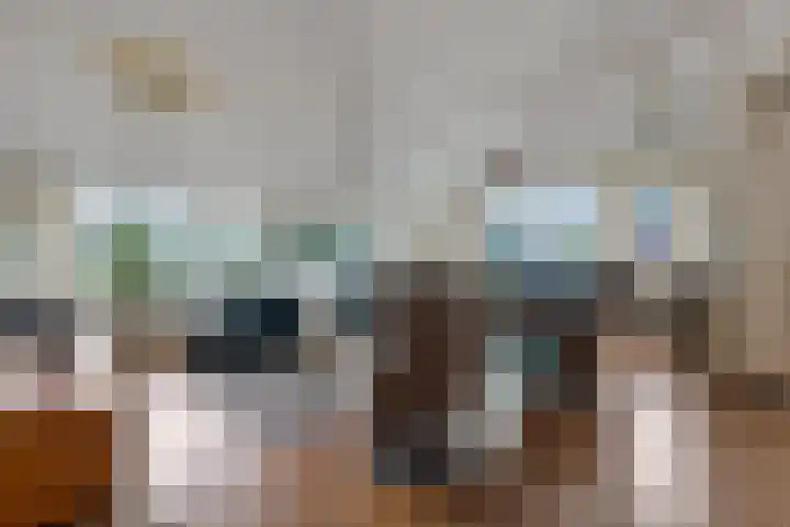 Zeisterweg 23 20 Odijk thumbnail 6