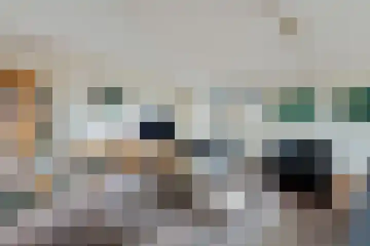 Zeisterweg 23 20 Odijk thumbnail 9