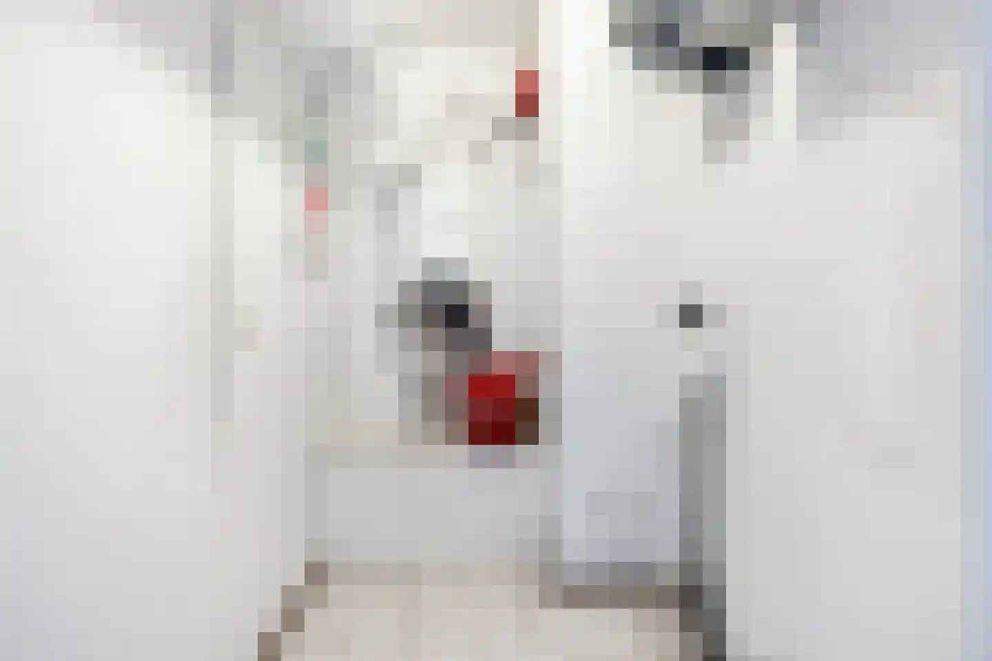 Zeisterweg 23 4 Odijk thumbnail 32