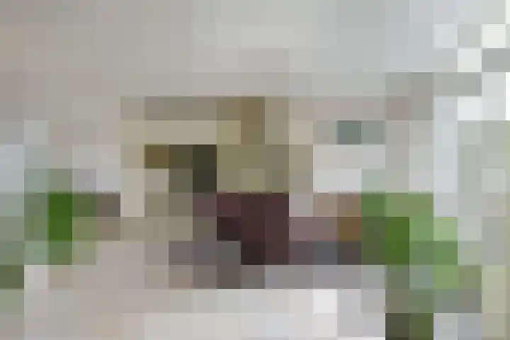 Zeisterweg 38 b Odijk thumbnail 10
