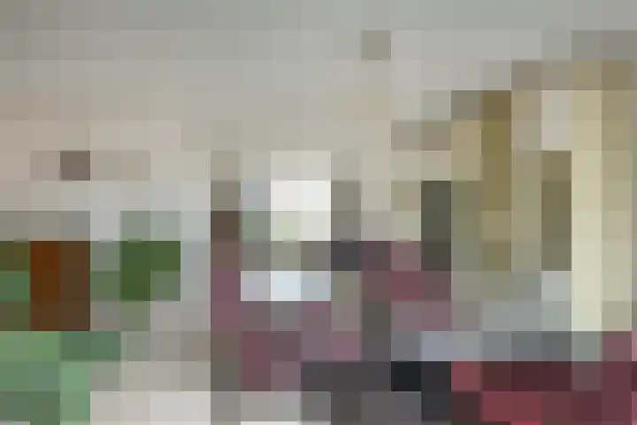 Zeisterweg 38 b Odijk thumbnail 11