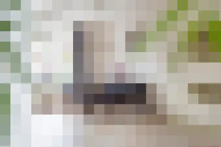 Zeisterweg 38 b Odijk thumbnail 13