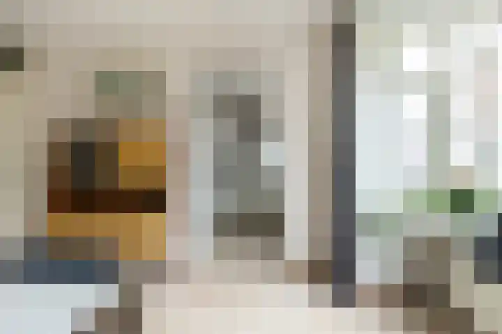 Zeisterweg 38 b Odijk thumbnail 16