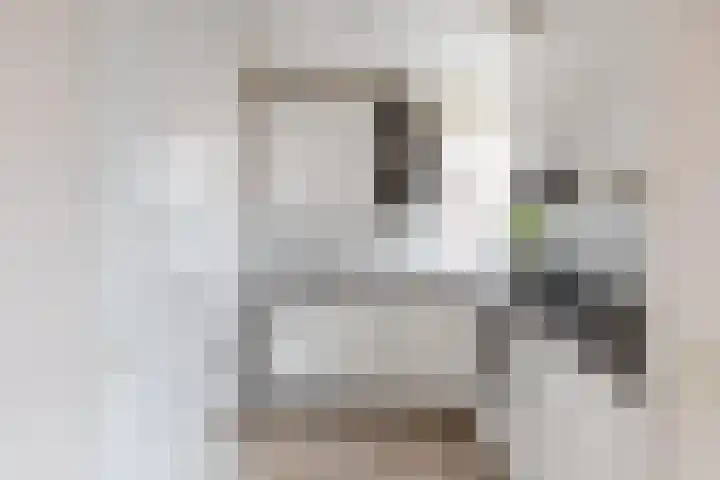 Zeisterweg 38 b Odijk thumbnail 17