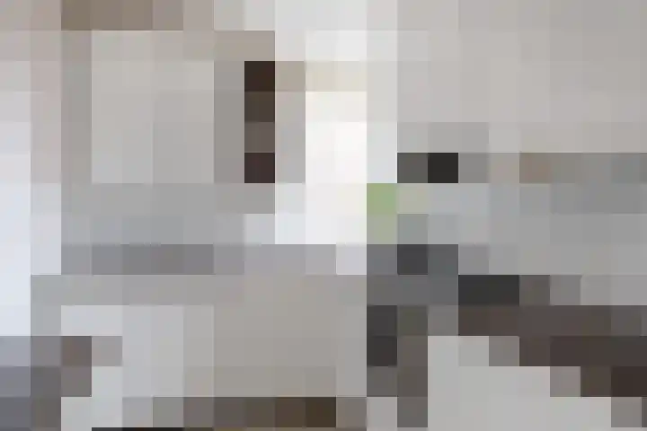Zeisterweg 38 b Odijk thumbnail 18
