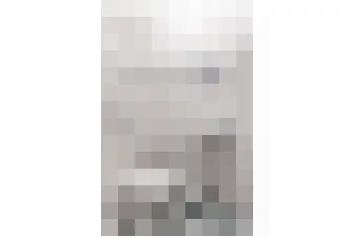 Zeisterweg 38 b Odijk thumbnail 26