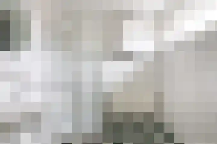 Zeisterweg 38 b Odijk thumbnail 34