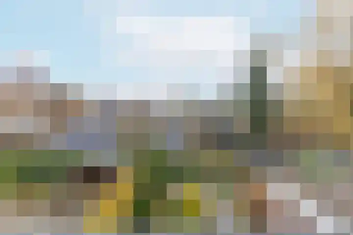 Zeisterweg 38 b Odijk thumbnail 36