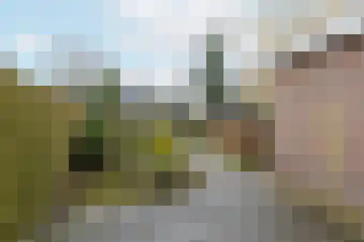 Zeisterweg 38 b Odijk thumbnail 38